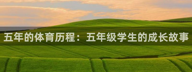 xc体育