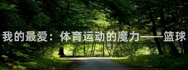 xc体育app官方网站
