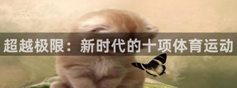 xc体育