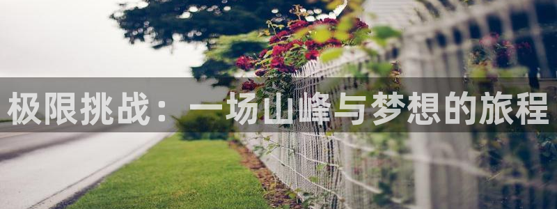 xc体育