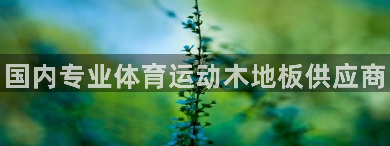 xc体育