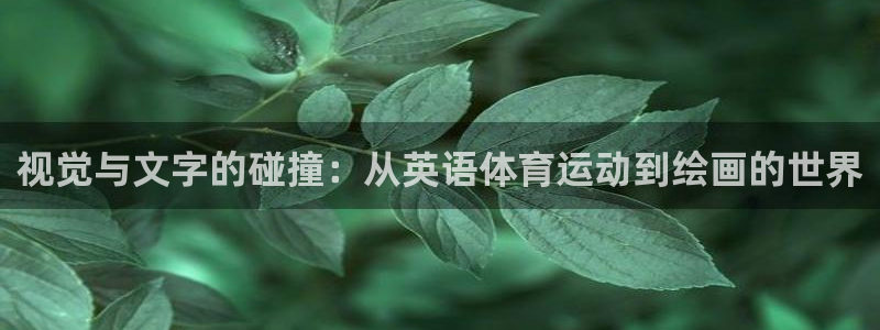 xc体育