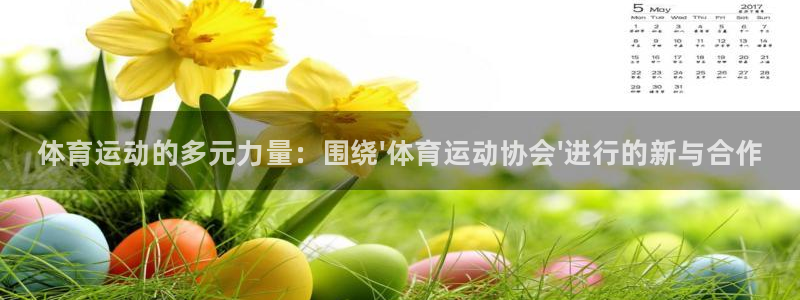 xc体育app官方网站