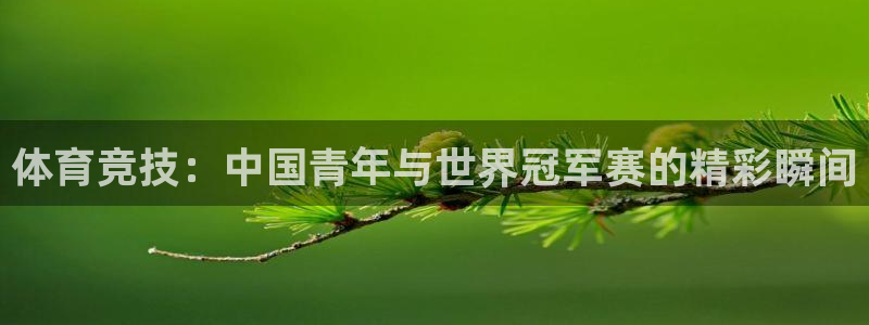 xc体育app官方网站