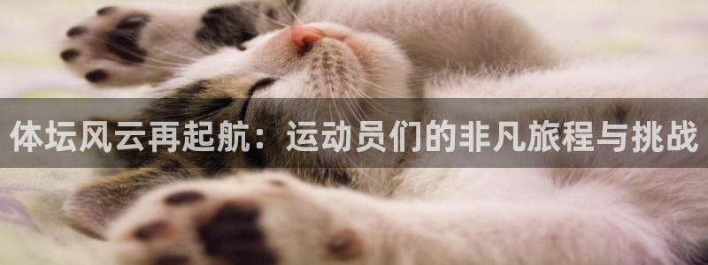 xc体育app官方网站