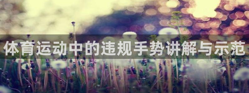 xc体育app官方网站