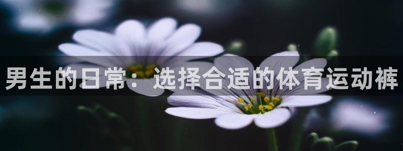 xc体育