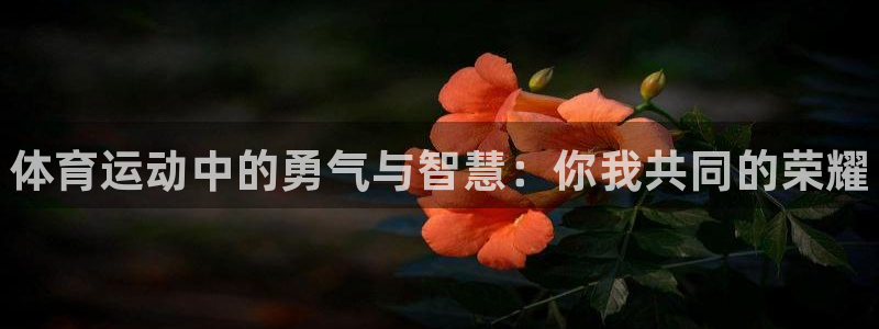xc体育