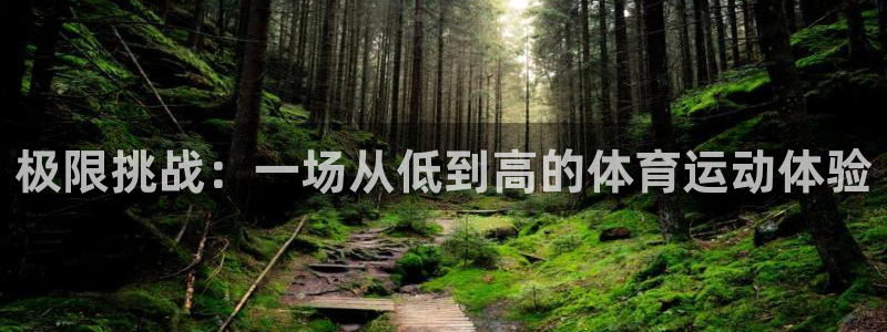 xc体育