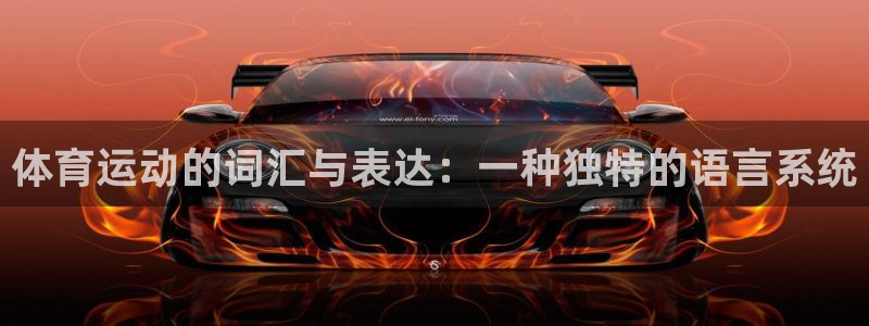 xc体育app官方网站
