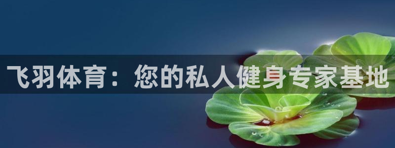 xc体育