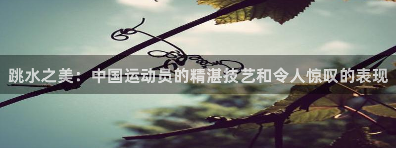 xc体育app官方网站