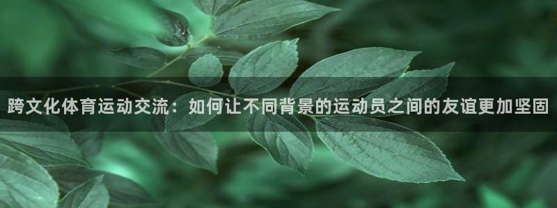 xc体育
