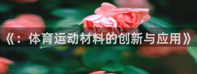 xc体育app官方网站